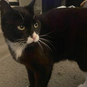 1/15/26 Live Show Item